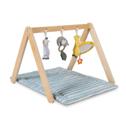 Red Kite Wooden Activity Arch Tree Tops